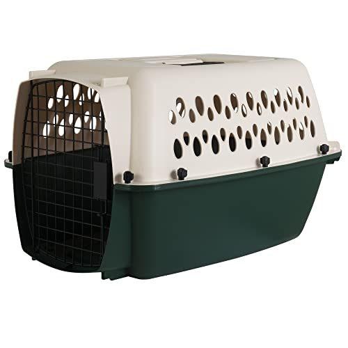 Petmate Ruffmaxx Travel Carrier Outdoor Dog Kennel