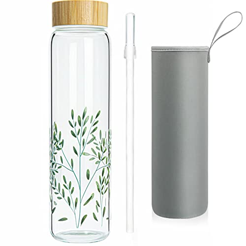 Ferexer 32 oz Glass Water Bottle with Straw
