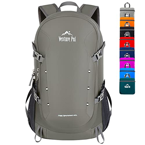 Venture Pal Lightweight Travel Backpack