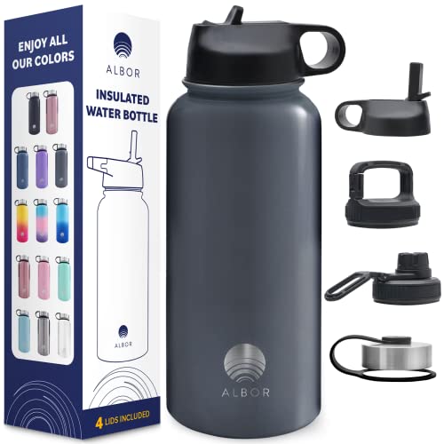 ALBOR Insulated Water Bottle with Straw - Triple Insulated Stainless Steel Water Bottles