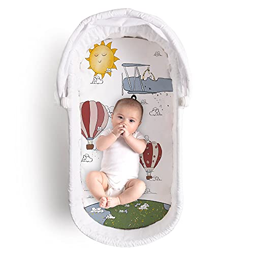 41vySPSptQL. SL500  - 8 Amazing Airplane Bassinet for 2024