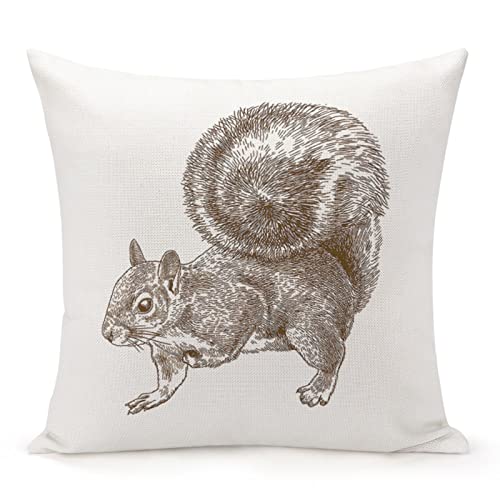 Antique Eastern Gray Squirrel Throw Pillow Cover