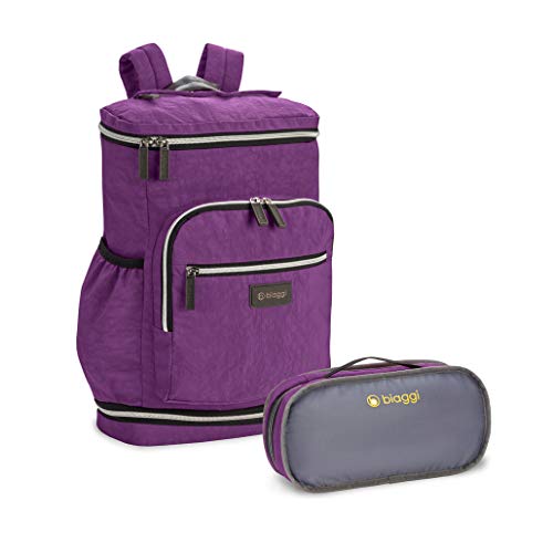 biaggi Zipsak Travel Laptop Backpack - TSA Friendly (Purple)