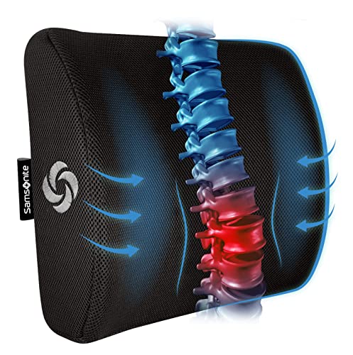 SAMSONITE Lumbar Support Pillow