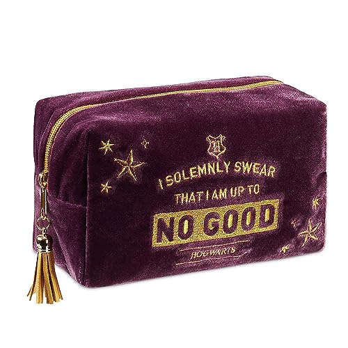 514UfOUkJ L. SL500  - 8 Amazing Harry Potter Cosmetic Bag for 2024