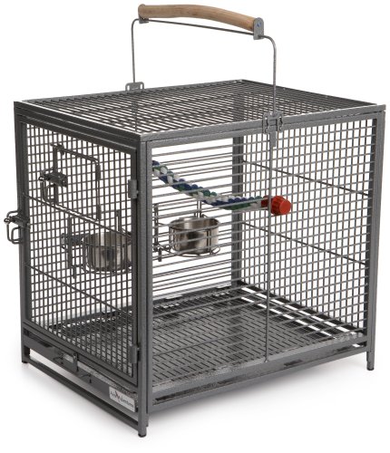 Avian Adventures Poquito Avian Hotel