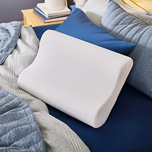 Sleep Innovations Memory Foam Contour Pillow