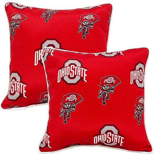 Outdoor Decorative Pillow, Ohio State Buckeyes
