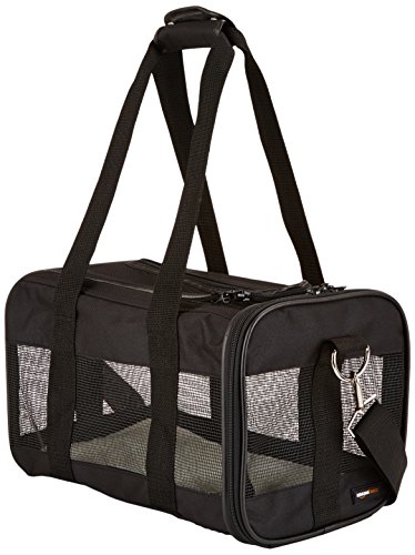 Amazon Basics Pet Travel Carrier