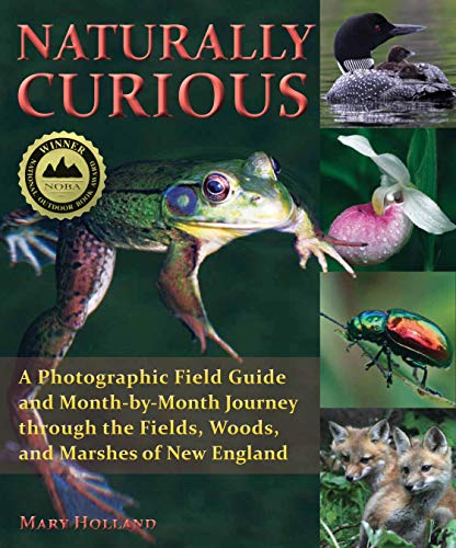 Naturally Curious Field Guide: A Journey Through New England Naturally Curious Field Guide: A Journey Through New England
