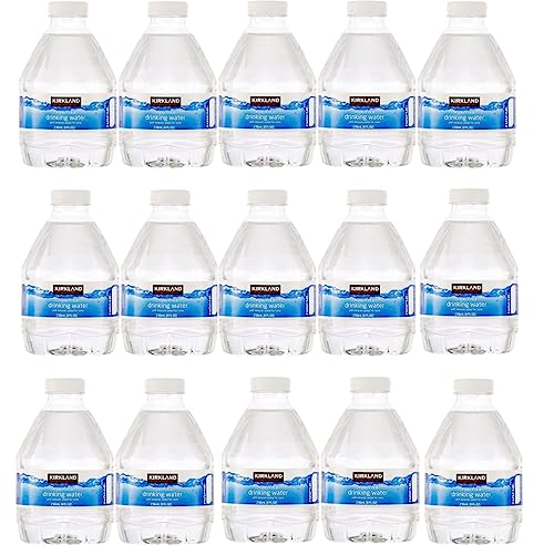 51BgFOUyohL. SL500  - 8 Best Water Bottle for 2023