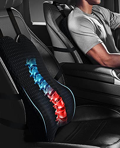 Teemour Lumbar Support Pillow for Office Chair Car Lumbar Pillow