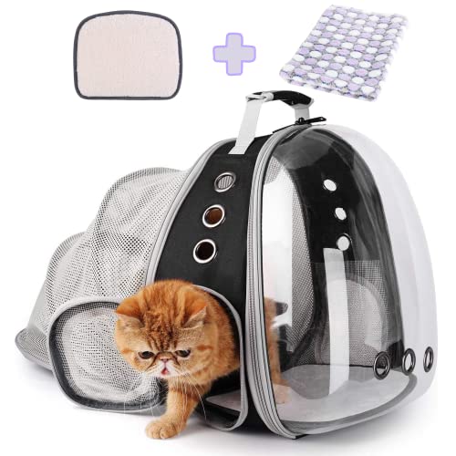 Lollimeow Pet Carrier Backpack: Stylish and Functional Travel Accessory