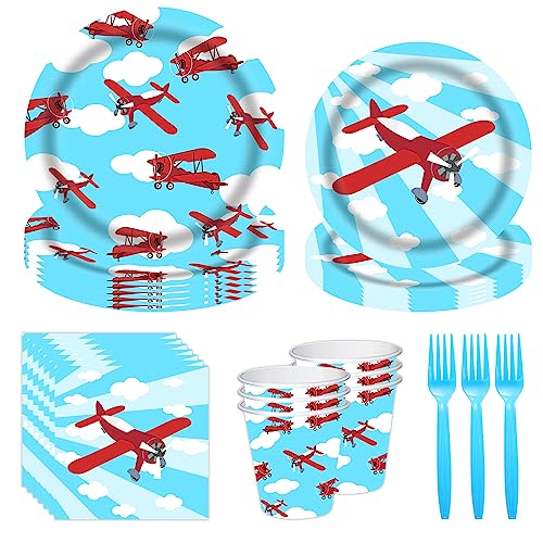 Party Berry Airplane Party Decorations Set