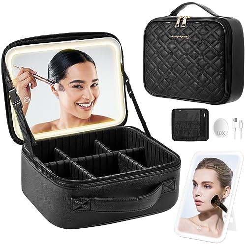 PEEH LED Lighted Makeup Bag with Adjustable Dividers and Mirror