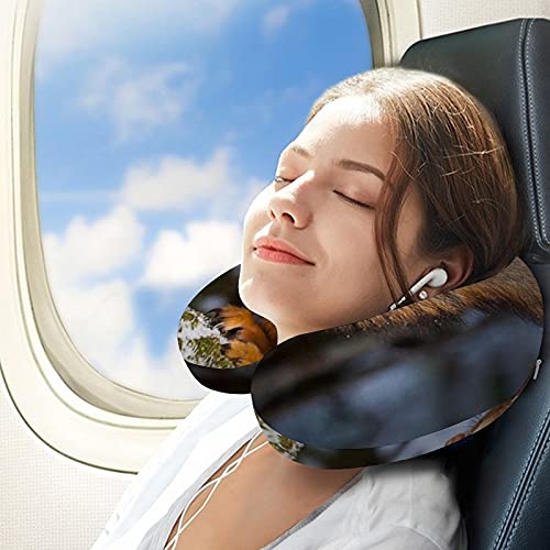 Gluttonous Squirrel Neck Pillow: Ultimate Travel Comfort