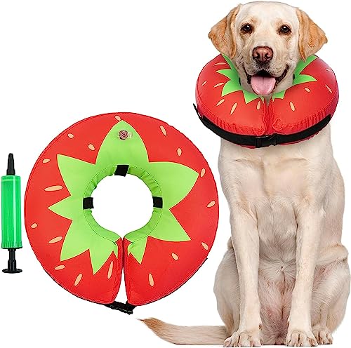 IECOii Dog Cone Collar