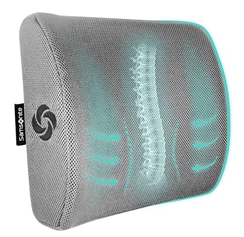 Samsonite Ergonomic Lumbar Support Pillow