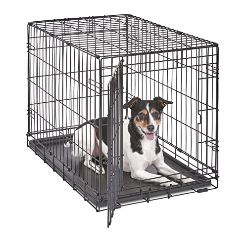 MidWest Homes for Pets Single & Double Door iCrate Dog Crate