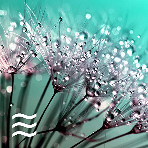 Airplane Sleep Soft Noise Travel Accessory