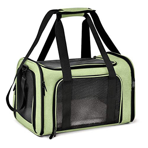 Henkelion Pet Carrier - Green