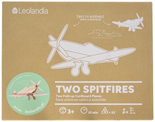 Leolandia DIY Cardboard Airplane Model