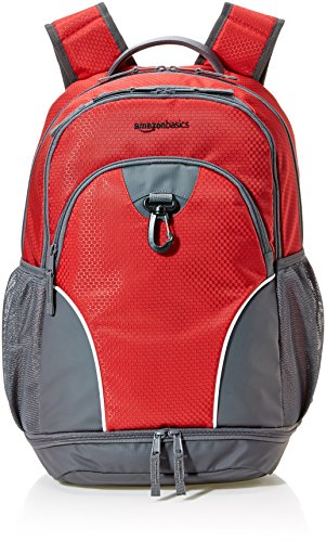 Amazon Basics Sport Laptop Backpack - Versatile and Durable