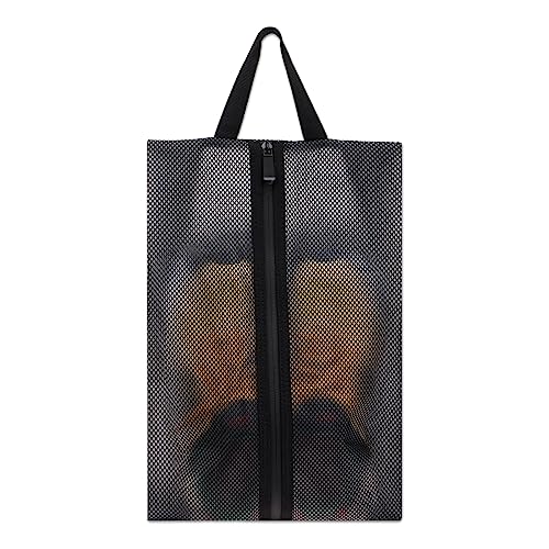 Fixwal Mesh Shoe Bag