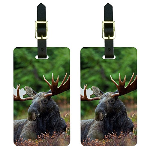 Moose Male Bull Antlers Luggage Tags - Stylish and Practical Set of 2