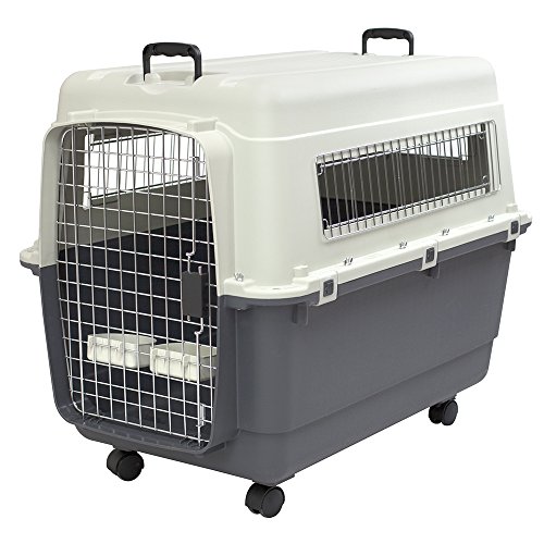 SportPet Designs Rolling Plastic Airline Approved Travel Dog Crate