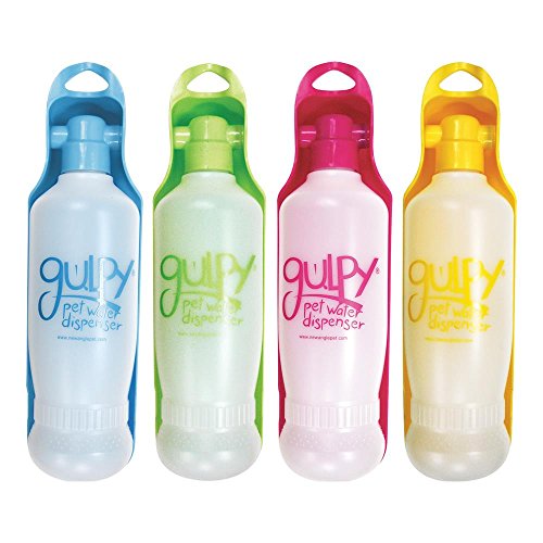 Gulpy Pet Water Dispenser, 20-Ounce