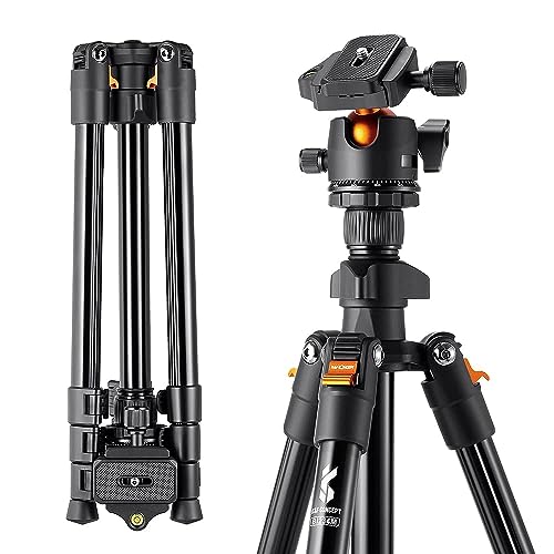 K&F Concept Lightweight Camera Tripod