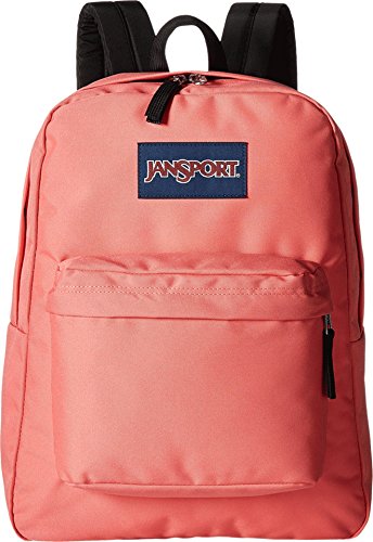 51uAvbGbqfL. SL500  - 14 Best Jansport Backpack For Girls for 2024