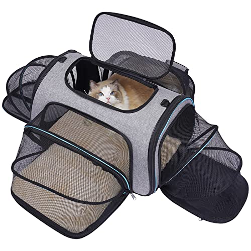 Siivton Airline Approved Pet Carrier