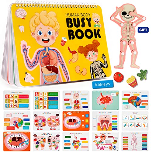 Freebear Montessori Busy Book