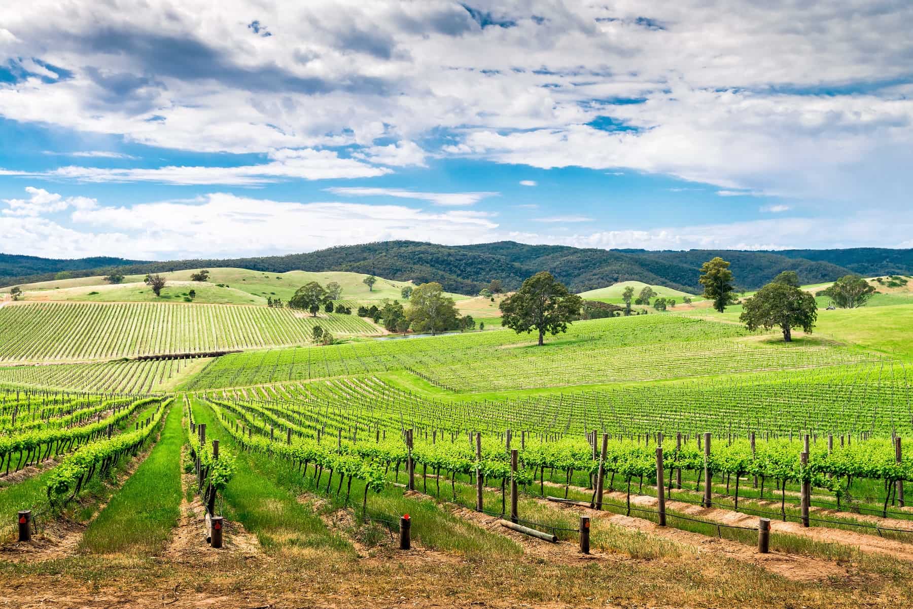 australia-travel-5-things-to-do-in-the-barossa-valley-besides-drink-wine