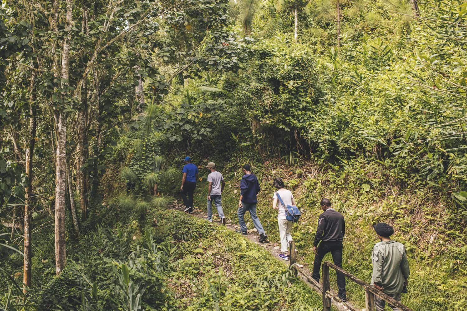 Backpacking-Jamaica-Your-Go-To-Guide backpacking-jamaica-your-go-to-guide