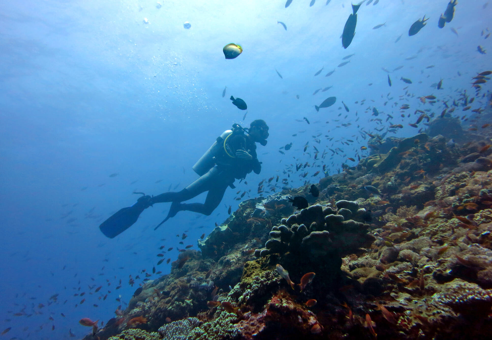 bali-scuba-diving-guide-best-dive-sites-shops-in-bali
