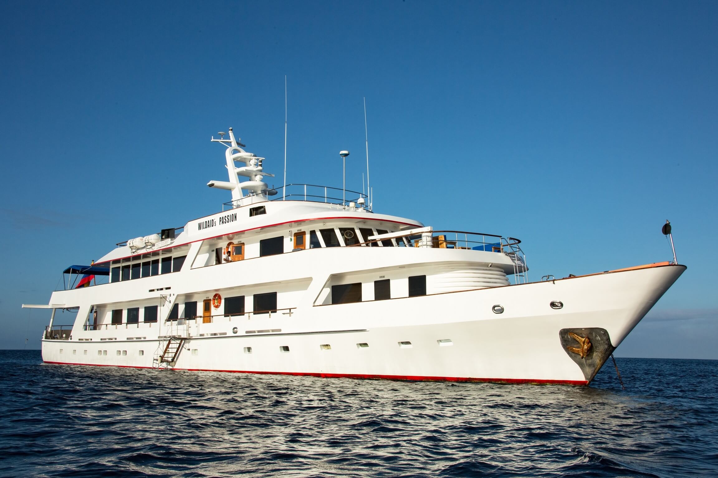 Best-Galapagos-Islands-Itinerary-MY-Passion-Yacht-Cruise-Puerto-Ayora best-galapagos-islands-itinerary-m-y-passion-yacht-cruise-puerto-ayora