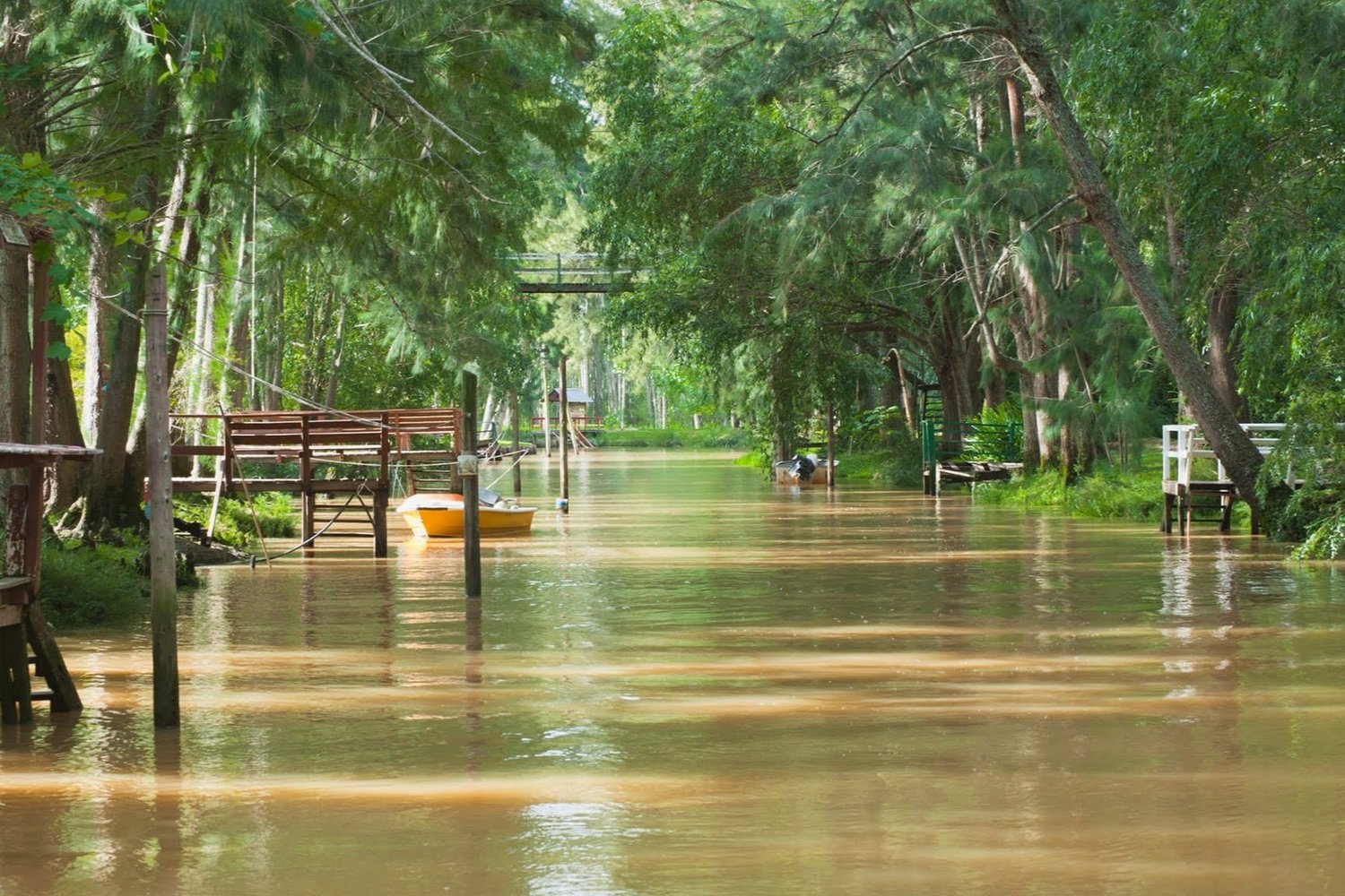 Day-Trip-From-Buenos-Aires-The-Tigre-Delta day-trip-from-buenos-aires-the-tigre-delta