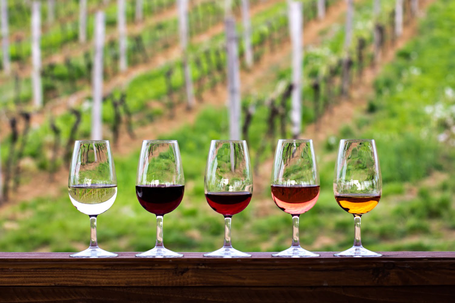 Epicurious-South-Australia-10-Tasty-Food-038-Wine-Experiences epicurious-south-australia-10-tasty-food-wine-experiences