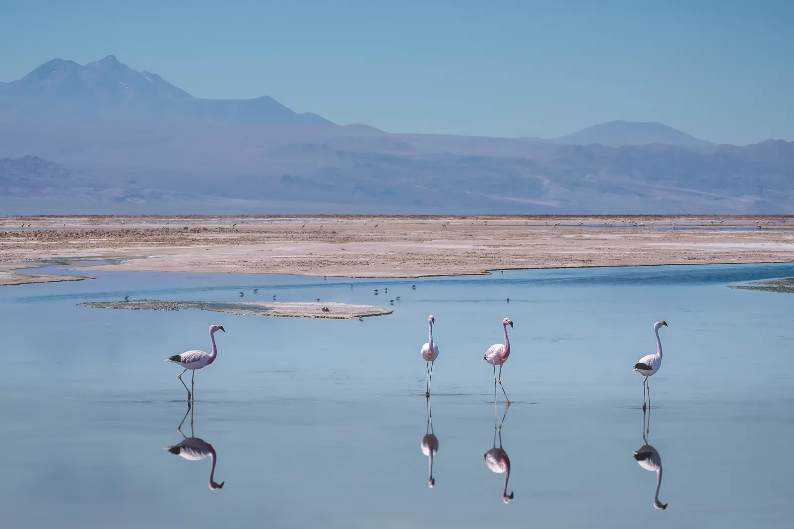 Guide-To-San-Pedro-De-Atacama-Chile-8211-Best-Tours-038-Things-To-Do guide-to-san-pedro-de-atacama-chile-best-tours-things-to-do