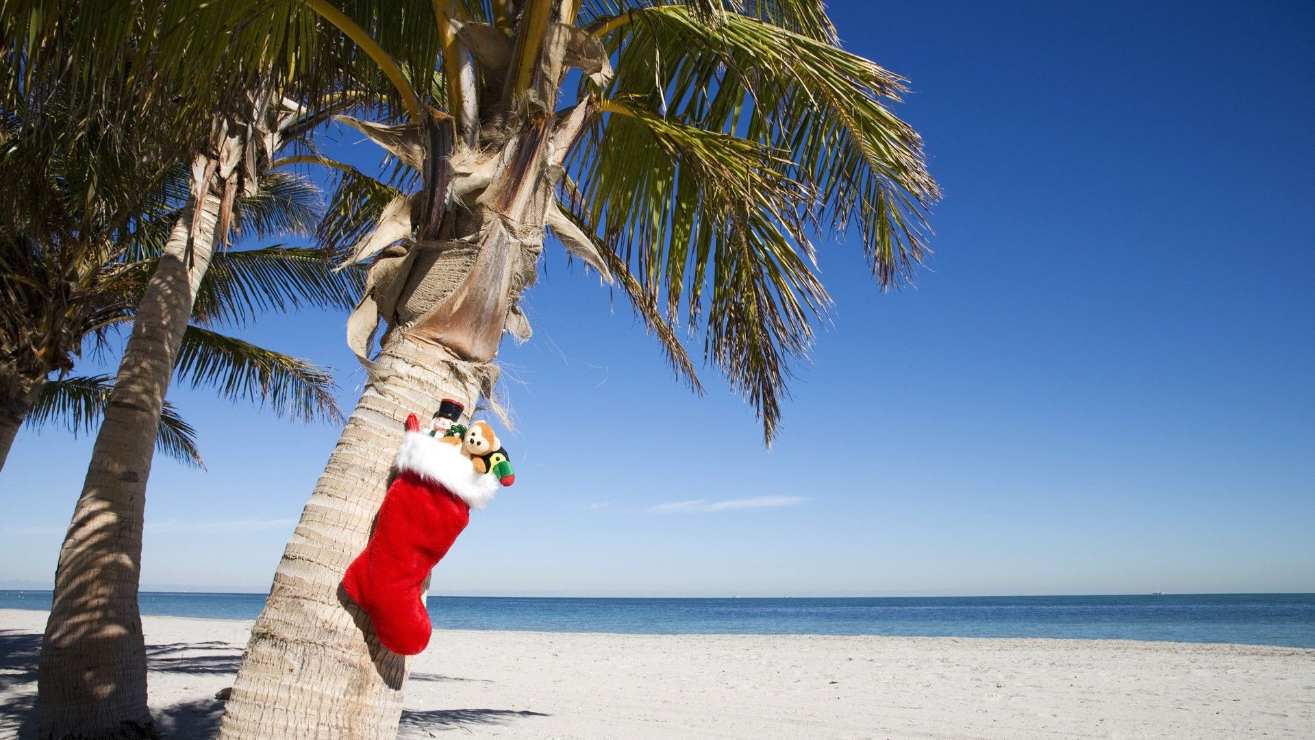Hawaii-Christmas-Celebrate-The-Holidays-In-Paradise hawaii-christmas-celebrate-the-holidays-in-paradise