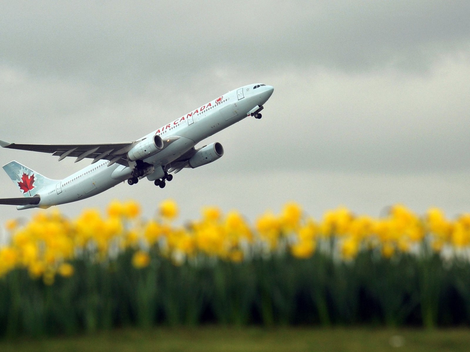 How-Safe-Is-Flying how-safe-is-flying