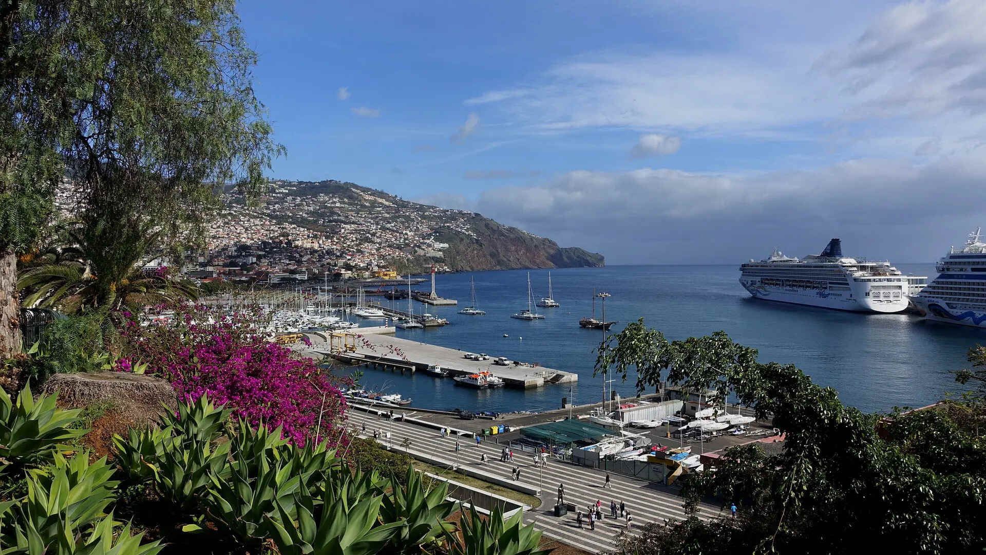 port-of-madeira-funchal-guide-for-cruisers