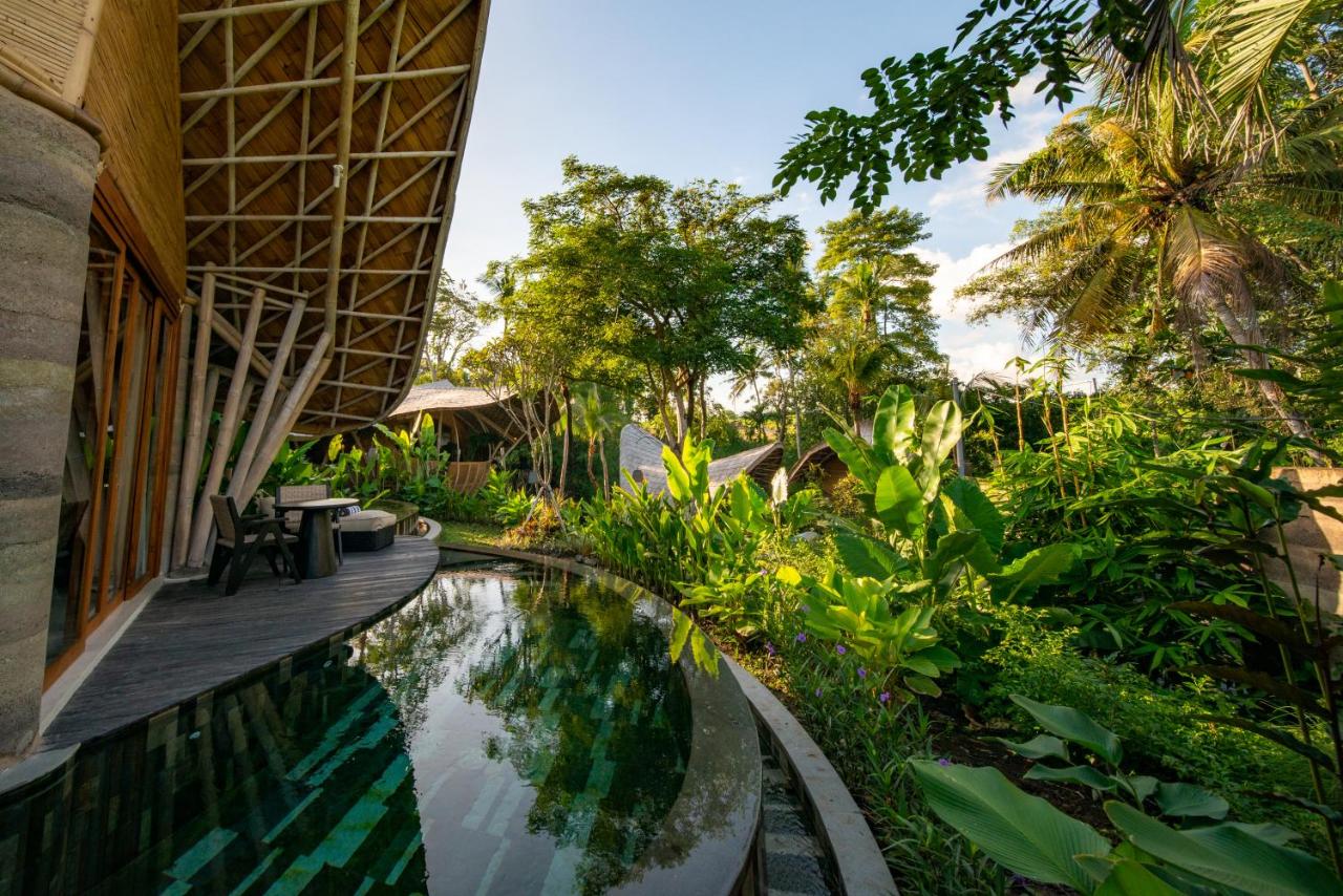 Eco Oasis Nature Retreat Wonders Eco Oasis Nature Retreat Wonders