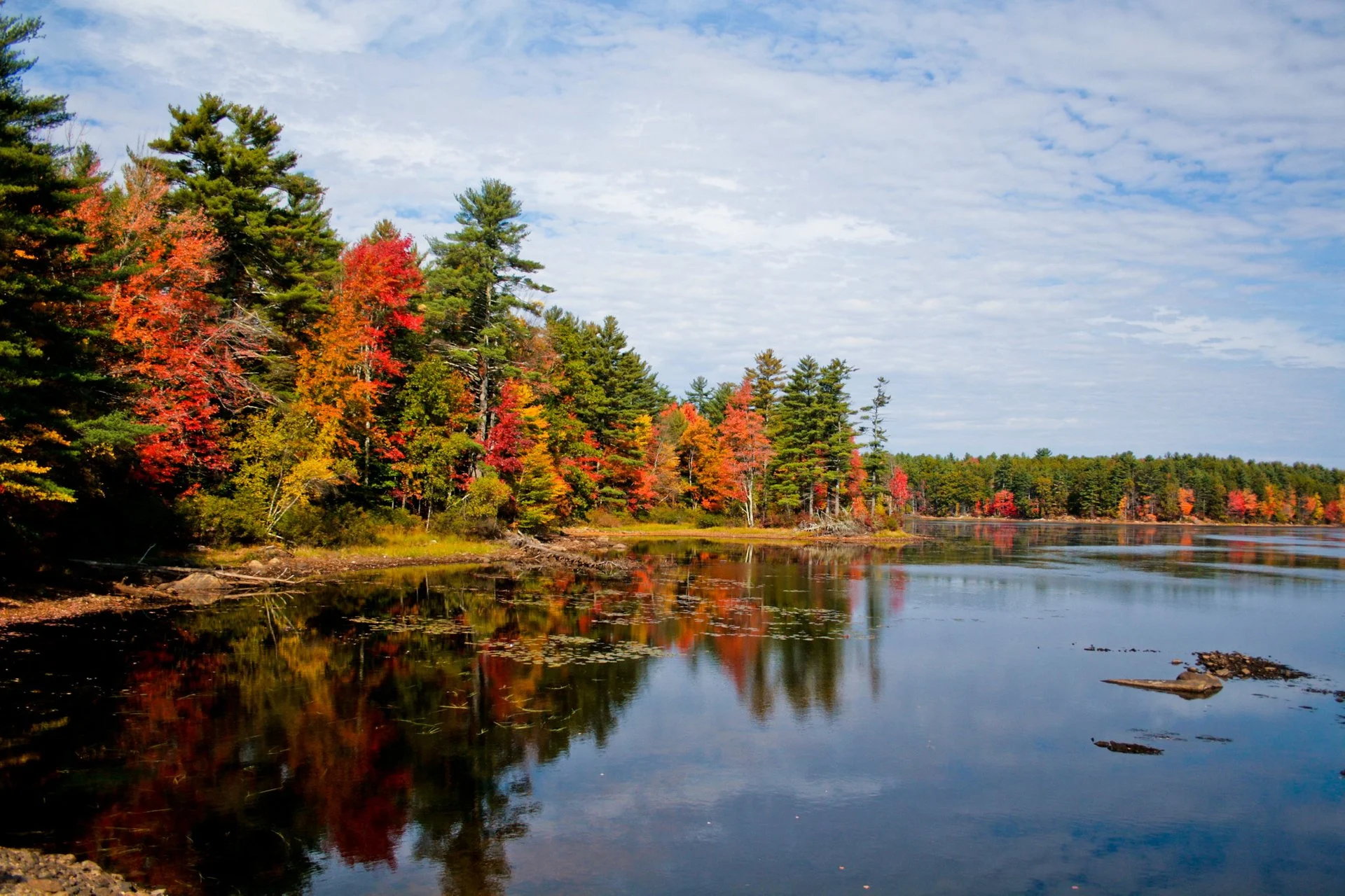 The-Best-Places-To-See-Maine-Fall-Foliage the-best-places-to-see-maine-fall-foliage