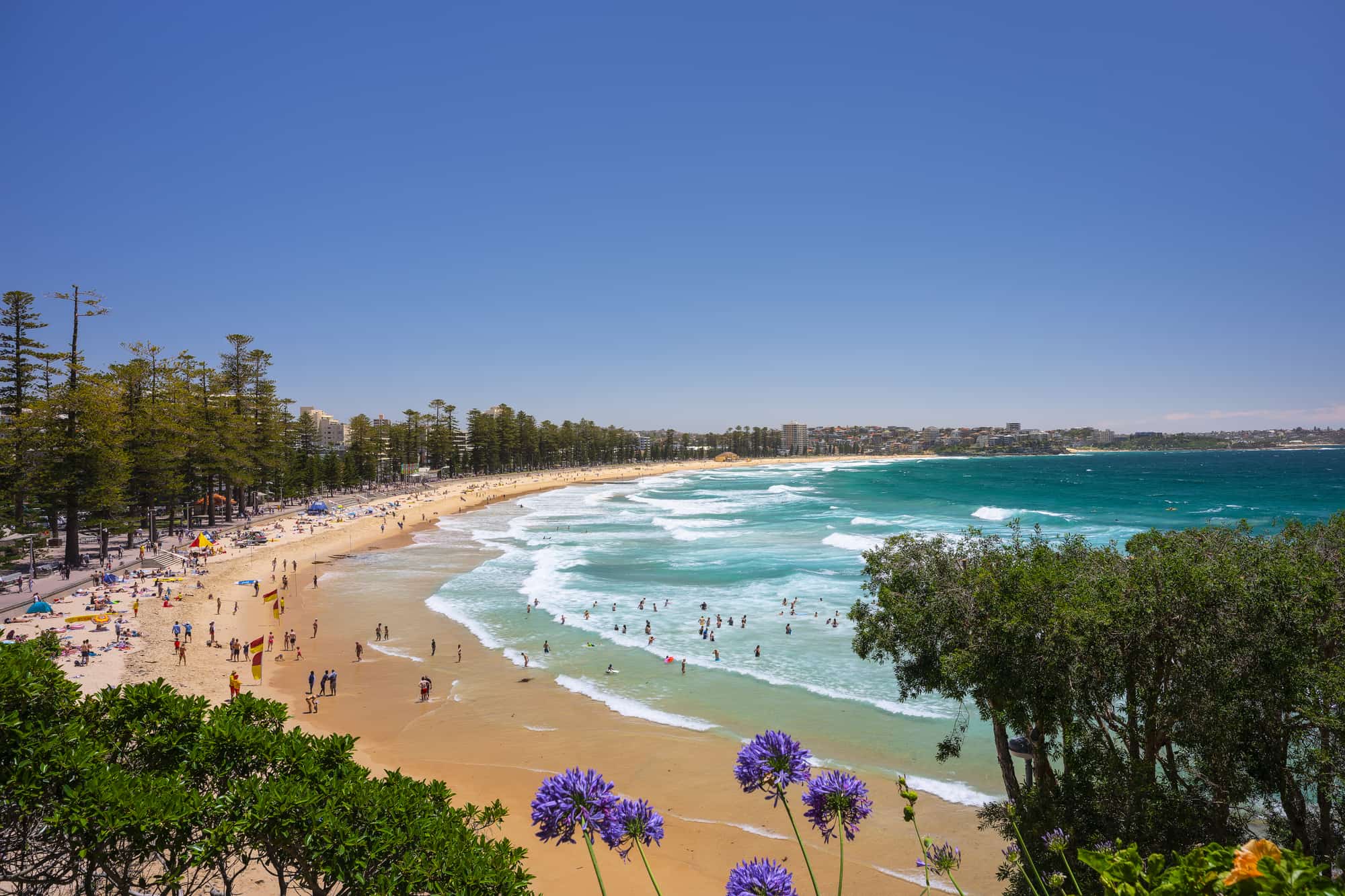 things-to-do-in-manly-beaches-food-bars-adventures