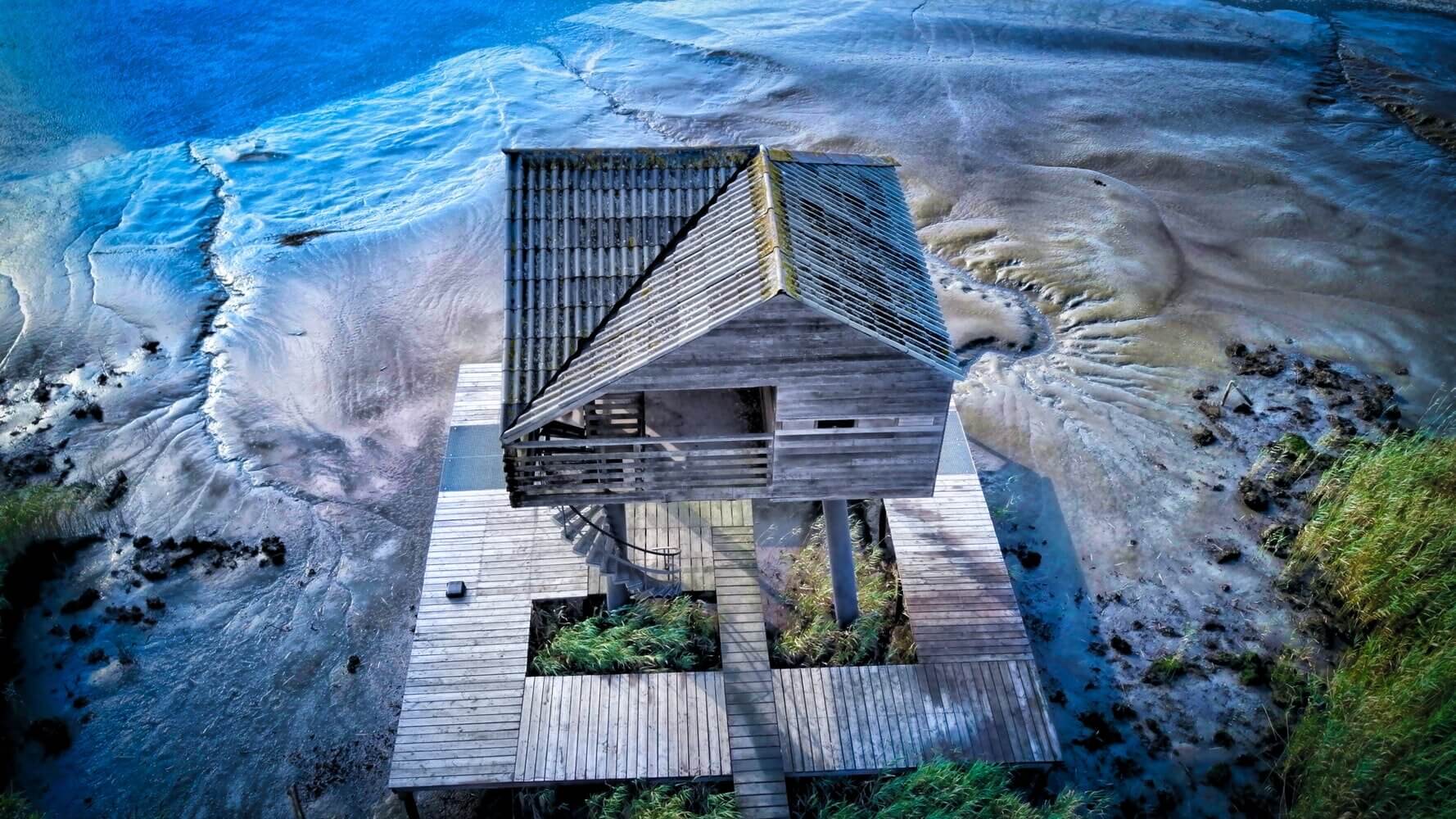 Why-Vacation-Rentals-Are-Eco-Friendly why-vacation-rentals-are-eco-friendly