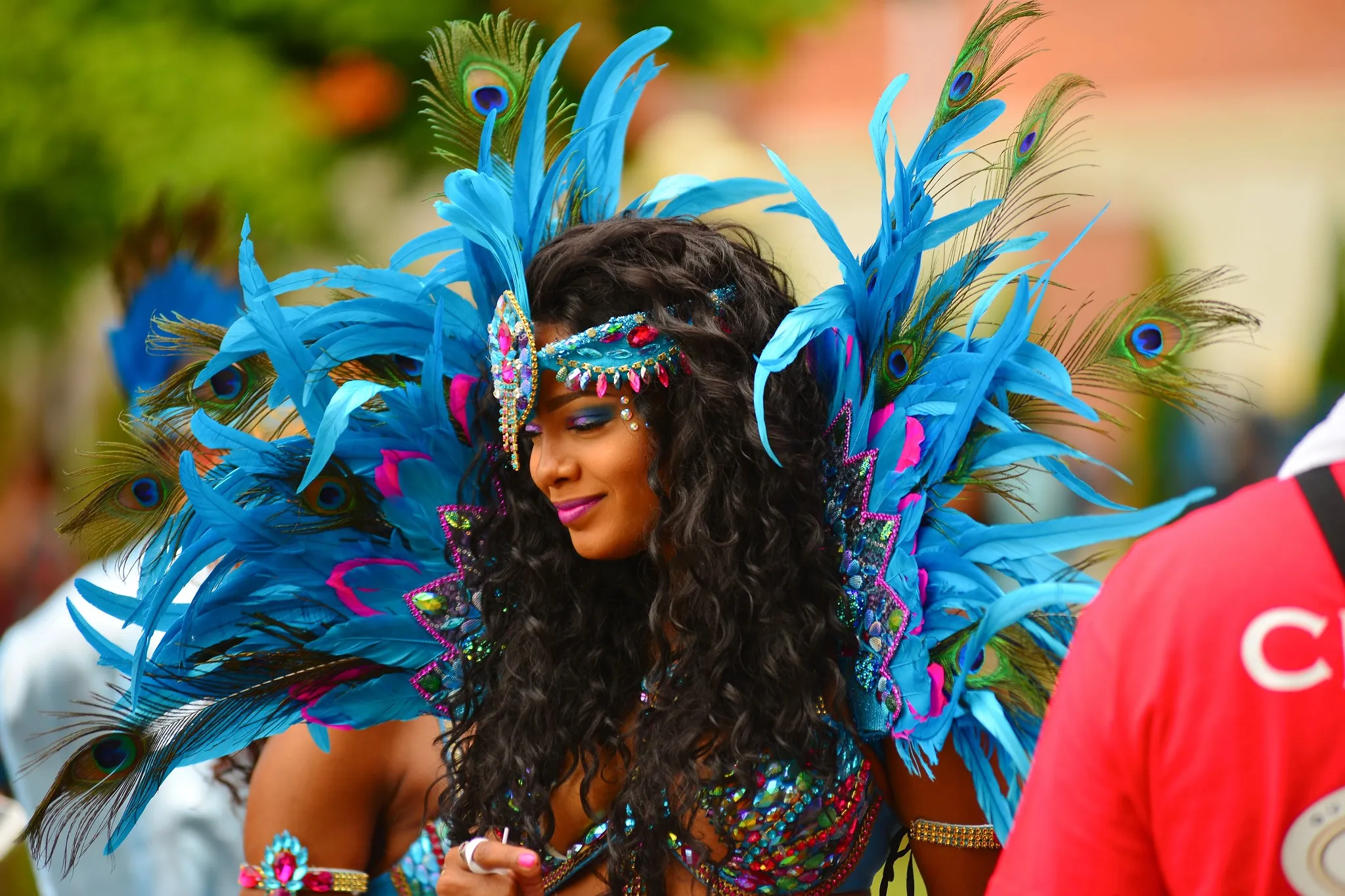 Your-Caribana-Survival-Guide your-caribana-survival-guide